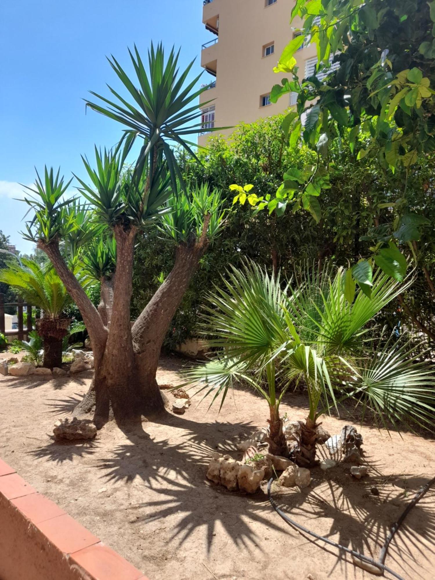 Appartement Torremolinos Centro Beach Extérieur photo